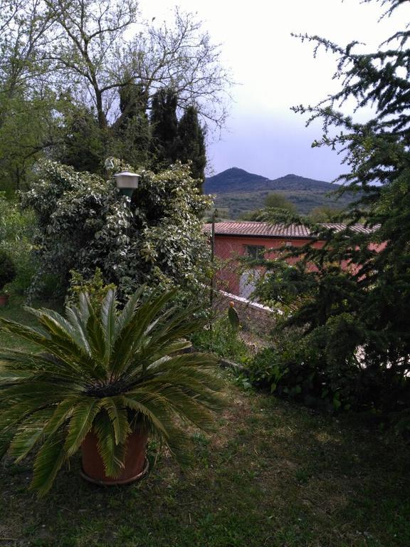 Orani Agriturismo Usurtala מראה חיצוני תמונה